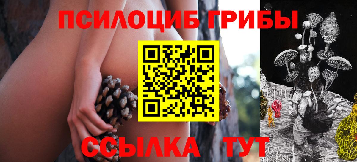 Добрянка  Псилоцибиновые грибы Psilocybine cubensis  Вход с VPN 