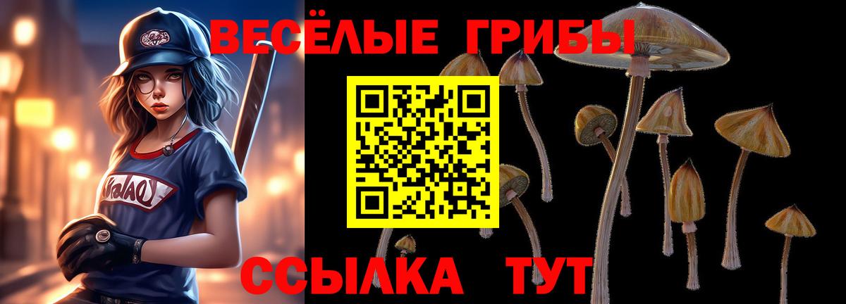 Галлюциногенные грибы Psilocybine cubensis Добрянка